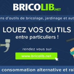 Le bricolage économique grâce à Bricolib !