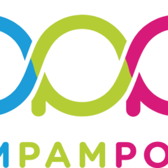 Pimpampost, le transport réactif, collaboratif et positif !